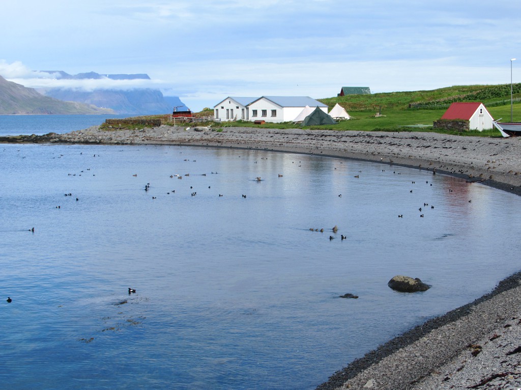 Vigur Island